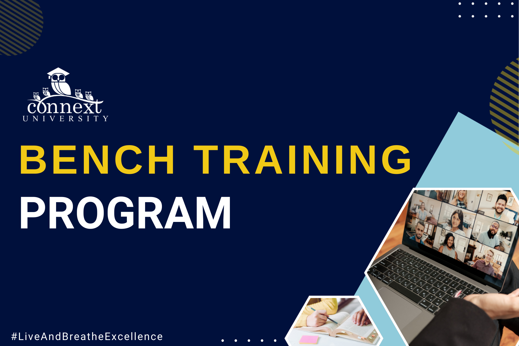 Bench Training Program
